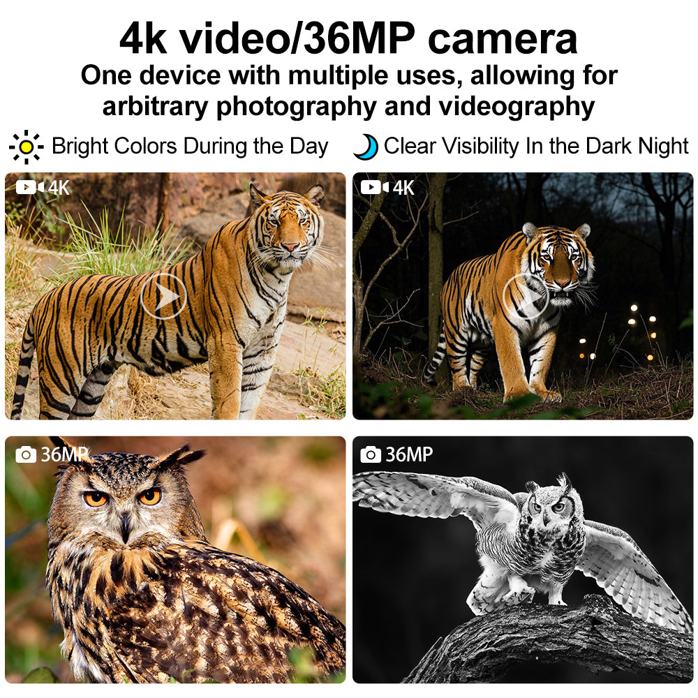 SINAIRSOFT Digital Infrared Night Vision Binoculars 4K 3D Head Mounted Goggles 8X Zoom 300M